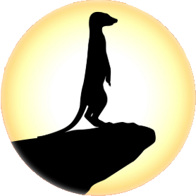 Meerkat Afrika Trading