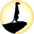 Meerkat Afrika Trading